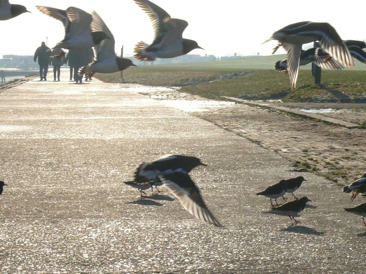 Ferienwohnung Osterdeich Horumersiel Dış mekan fotoğraf